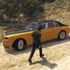 私密无痕播放器